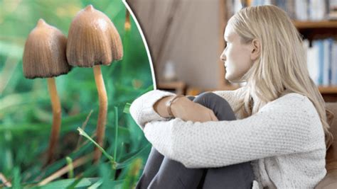 Magic mushrooms and personal transformation: stories of profound change